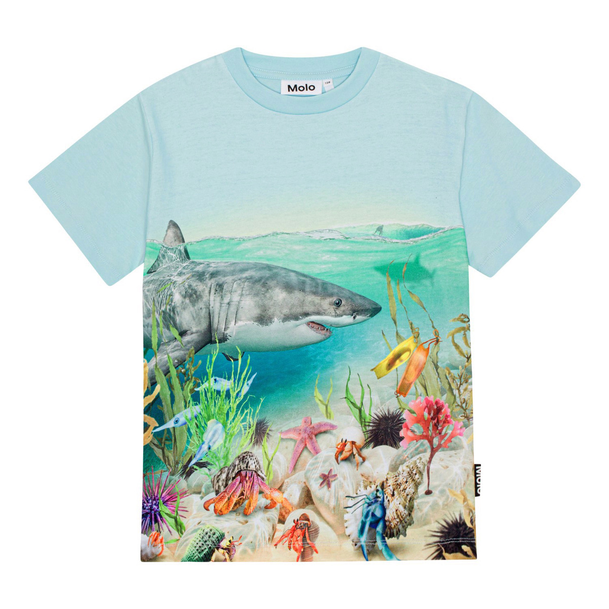 Molo - T-Shirt - Roxo - Shore Life