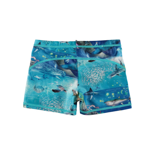 Molo - UV Zwembroek - Norton - Ocean Zones