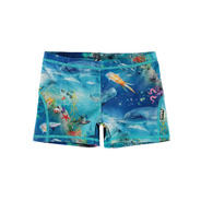 Molo - UV Zwembroek - Norton - Ocean Zones