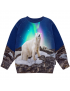 Molo - Sweater - Mattis - Polar Night