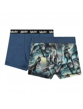 Molo - 2-Pack Boxershorts - Justin - Dinos Calm