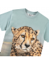 Molo - T-Shirt - Rubin - Big Cheetah Blue