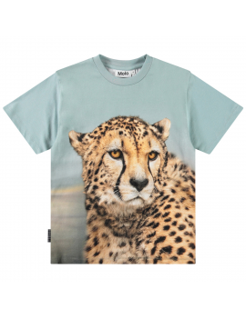 Molo - T-Shirt - Rubin - Big Cheetah Blue