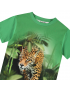 Molo - T-Shirt - Riley - Jaguars