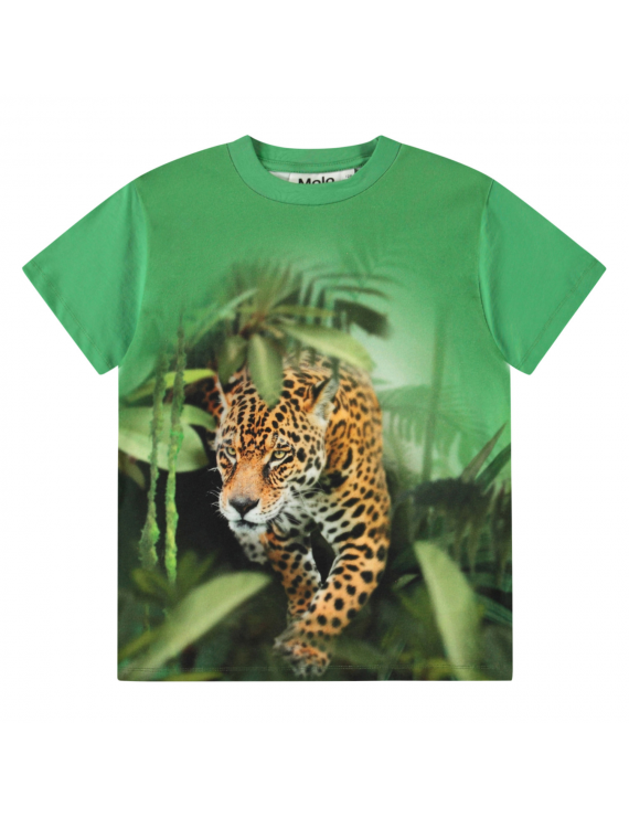 Molo - T-Shirt - Riley - Jaguars