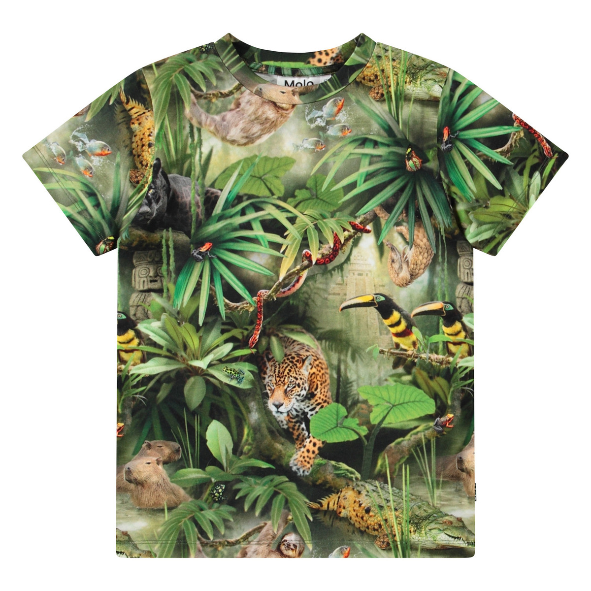 Molo - T-Shirt - Ralphie - Jungle Animals