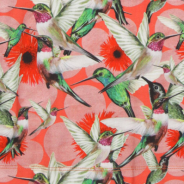 Wild - Bliss - Hummingbirds