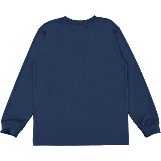 Molo - Longsleeve - Rogert - Pixel Dragon